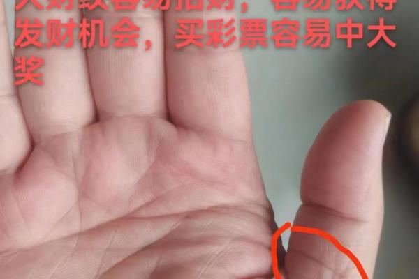 透视女人掌纹:揭秘命运与人生的秘密 透视女人掌纹:揭秘命运与人生的秘密