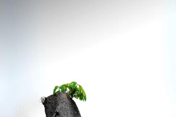 1978年出生不是命中的幸运,而是命运的挑战与机遇 1978年出生不是命中的幸运,而是命运的挑战与机遇