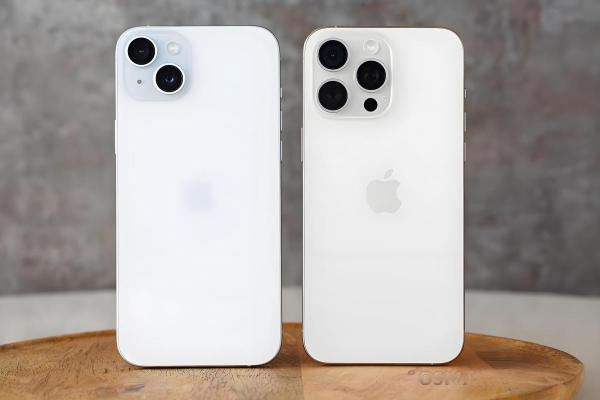 2019子时出生的命运解析:命理与人生之路的深度探讨 2019子时出生的命运解析:命理与人生之路的深度探讨