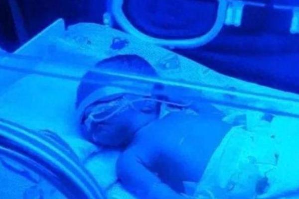 2013年出生的孩子命运解析:如何引导他们茁壮成长? 2013年出生的孩子命运解析:如何引导他们茁壮成长?