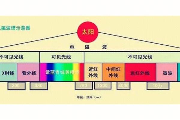 探索20030903命理：你的出生日期揭示的秘密与潜力