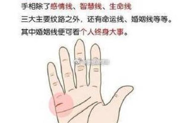 1964年出生的命婚姻运势分析:幸福与挑战并存 1964年出生的命婚姻运势分析:幸福与挑战并存