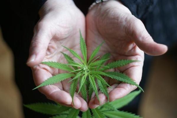 驱邪命格解析：哪种命格最强大，帮你抵御邪祟侵扰