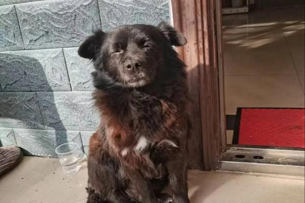 解析“命”字之意:从古至今的多重含义与启示 解析“命”字之意:从古至今的多重含义与启示