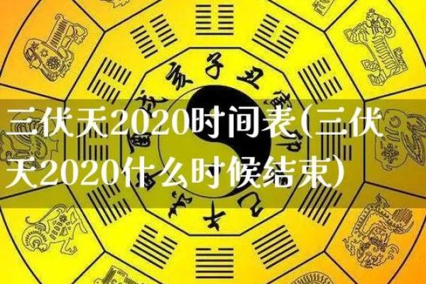 2005年8月12日出生者的命理解读与人生启示 2005年8月12日出生者的命理解读与人生启示