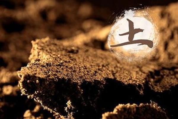 探究木命鼠与金命猪的相生相克,如何避免不和谐的生活磨难 探究木命鼠与金命猪的相生相克,如何避免不和谐的生活磨难