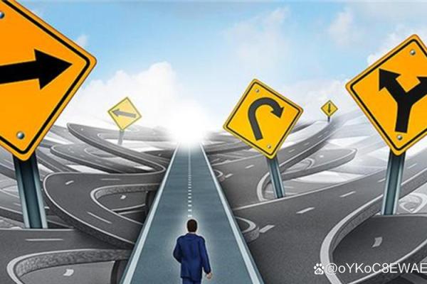 以命运为导向，适合你的职业路径选择指南