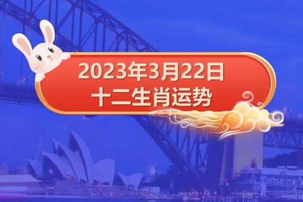 2023年：命理与运势的深度解析，如何抓住机遇与挑战！