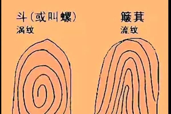 揭示男人手纹的秘密:好运气的指引与人生的启示 揭示男人手纹的秘密:好运气的指引与人生的启示
