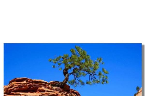 命运的转机:改变命运的秘笈与方法 命运的转机:改变命运的秘笈与方法