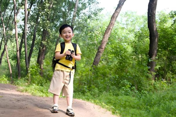 1955年出生的人命缺什么?揭秘命理背后的秘密! 1955年出生的人命缺什么?揭秘命理背后的秘密!
