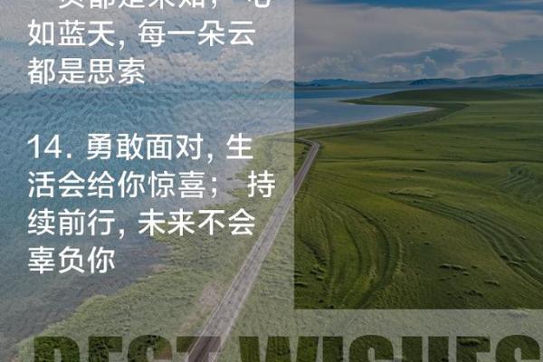 四两命的独特魅力与人生智慧探索