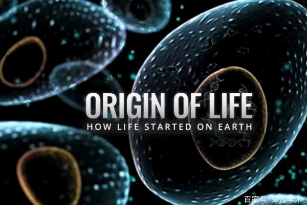 1996年9月20日出生的命格解析:揭示你生命潜能的秘密 1996年9月20日出生的命格解析:揭示你生命潜能的秘密