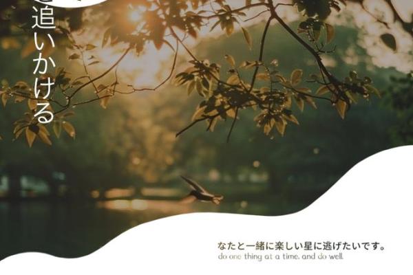 皆为命又不是命,探寻人生的意义与选择 皆为命又不是命,探寻人生的意义与选择