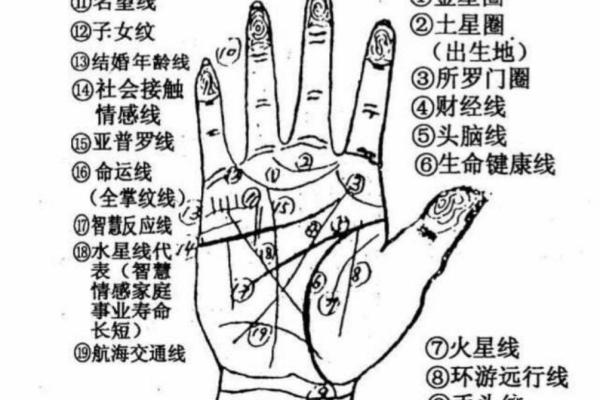 分析命局:适合早婚男的命理特征与人生选择 分析命局:适合早婚男的命理特征与人生选择