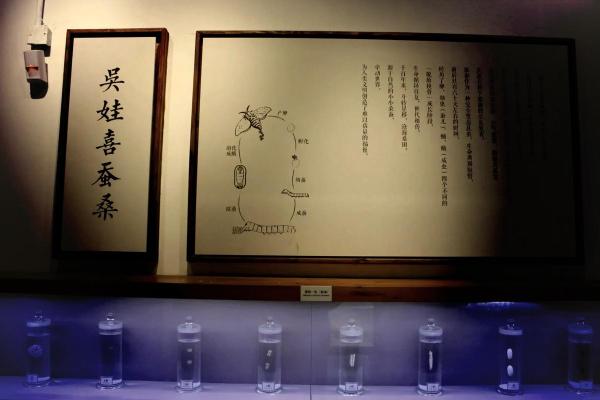 探秘断女命与男命的奇妙差异：命理学中的性别之道