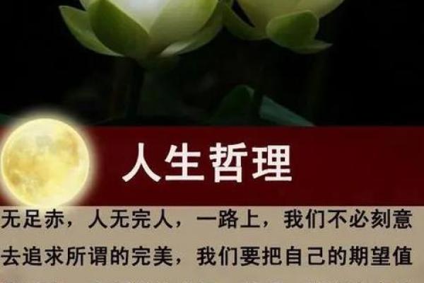 命什么说什么艳，成语背后的智慧与人生启示