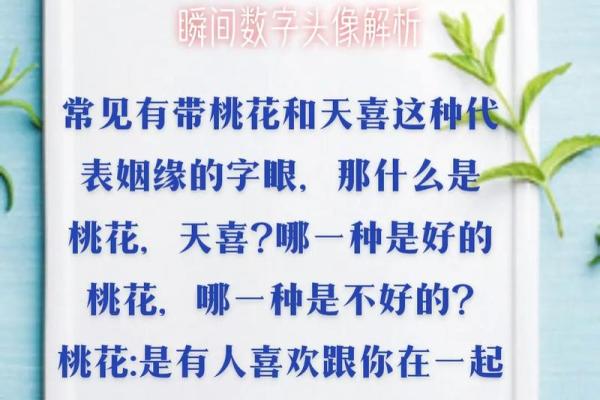 探寻你的命格:揭示命运背后的秘密与智慧 探寻你的命格:揭示命运背后的秘密与智慧