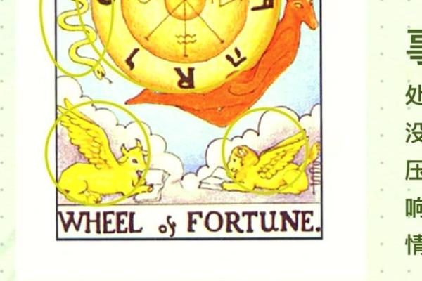 什么是化命?什么是亡命?探寻命运的奥秘与人生的选择 什么是化命?什么是亡命?探寻命运的奥秘与人生的选择