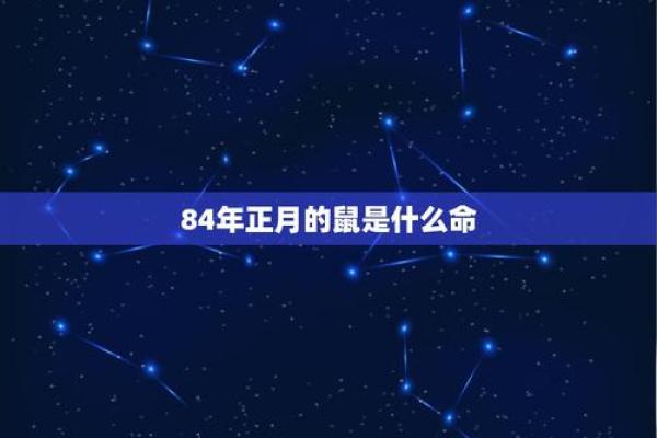 探寻属鼠的木命：智慧与灵动的生命之旅