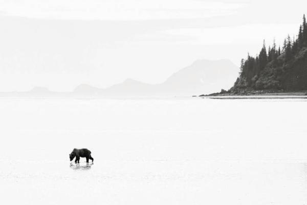 探寻1987年出生者的命理密码:命运与性格的奥秘 探寻1987年出生者的命理密码:命运与性格的奥秘