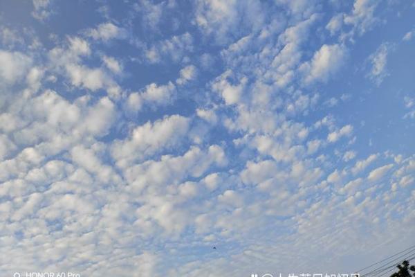 19980422:探秘这个出生日期的命运与人生之路 19980422:探秘这个出生日期的命运与人生之路