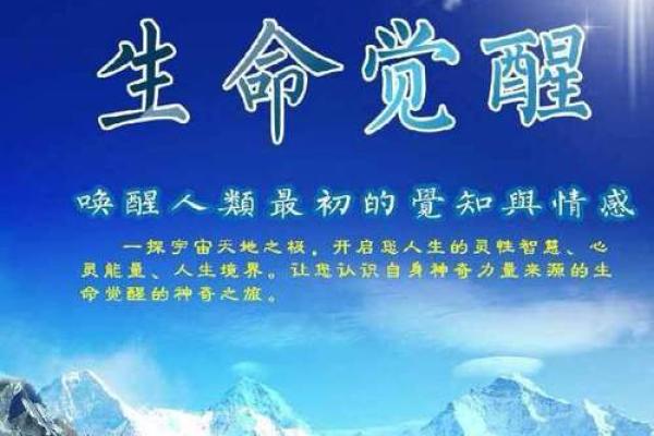 1946年出生的狗:一个灵动的生命之旅与命运解析 1946年出生的狗:一个灵动的生命之旅与命运解析