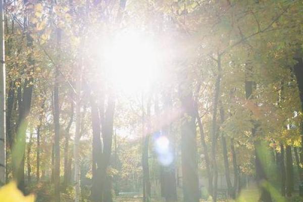 女命缺火旺盛，命理解析与调和之道