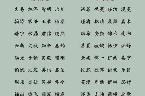 1996年腊月出生者的命理分析与缺失之处探讨