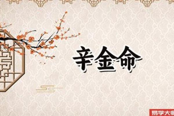 2014年是什么金命?解读流年命理的奥秘与人生启示 2014年是什么金命?解读流年命理的奥秘与人生启示