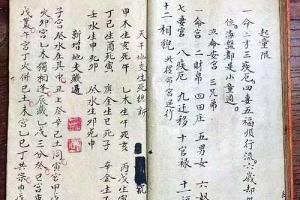 1996年腊月出生者的命理分析与缺失之处探讨