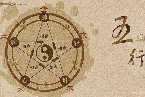 亥命与癸命的相生相克：一窥八字命理的奥秘