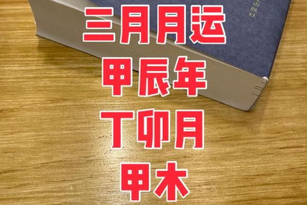 查什么命用什么软件,轻松预测未来与运势的智慧选择 查什么命用什么软件,轻松预测未来与运势的智慧选择