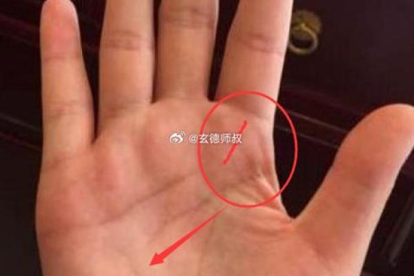 算命中最好的命究竟是什么命?揭秘你的命中财富与幸福 算命中最好的命究竟是什么命?揭秘你的命中财富与幸福