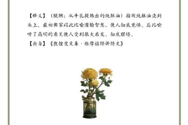 收获万千,成语背后的智慧与启示 收获万千,成语背后的智慧与启示