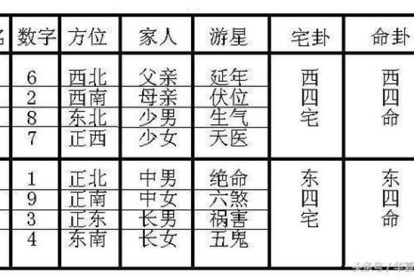 东四命与西四命:命理学中的空间与时间之美 东四命与西四命:命理学中的空间与时间之美