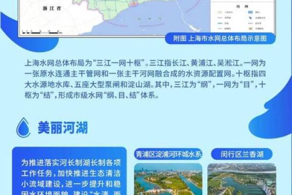 探秘肾命与心命：生命之源与情感交织的奥秘