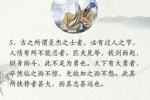 收获万千,成语背后的智慧与启示 收获万千,成语背后的智慧与启示