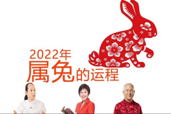 2014年属兔人的命理解析：揭示兔年的机遇与挑战！