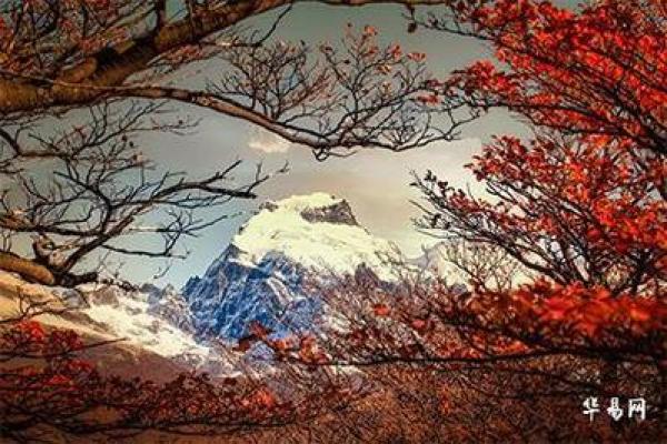 1986年兔子命的命运与性格探讨:揭开藏于生肖背后的秘密 1986年兔子命的命运与性格探讨:揭开藏于生肖背后的秘密