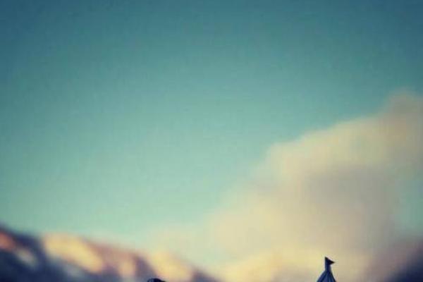 探寻19981027出生者的命运与人生轨迹 探寻19981027出生者的命运与人生轨迹