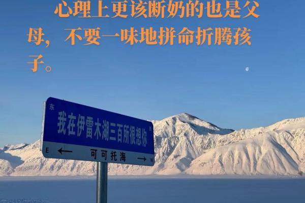 用命运之绘描绘人生：理解“父母之命”的意义与影响