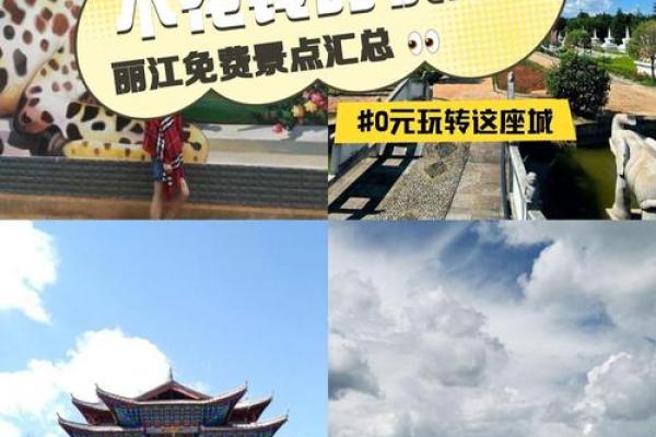 花什么月什么命,解读人生五彩斑斓的秘密 花什么月什么命,解读人生五彩斑斓的秘密