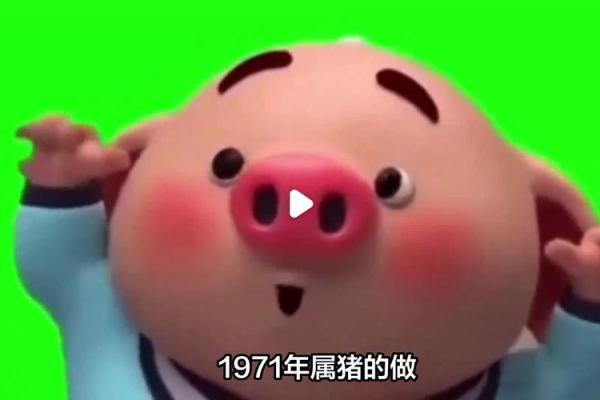 95属猪人的命运:如何发挥优势,走向辉煌人生? 95属猪人的命运:如何发挥优势,走向辉煌人生?