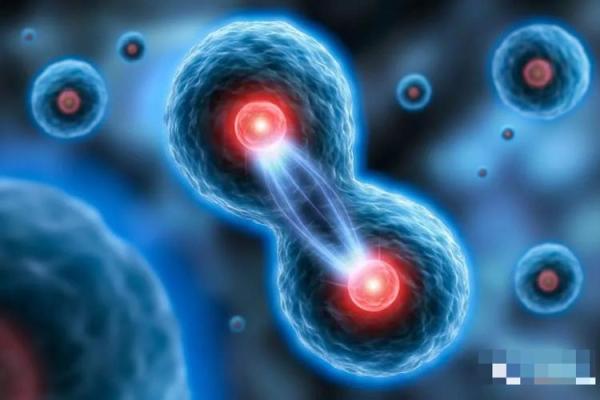 探索青鸟之命的神秘命格,揭秘你的生命潜能与方向 探索青鸟之命的神秘命格,揭秘你的生命潜能与方向