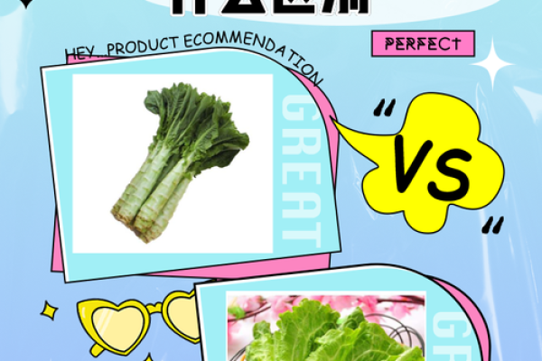 探寻命理命盘的奥秘：信与不信之间的智慧之路