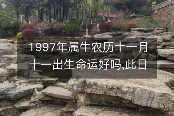 1997年出生的你，命运和性格的深层解读与分析