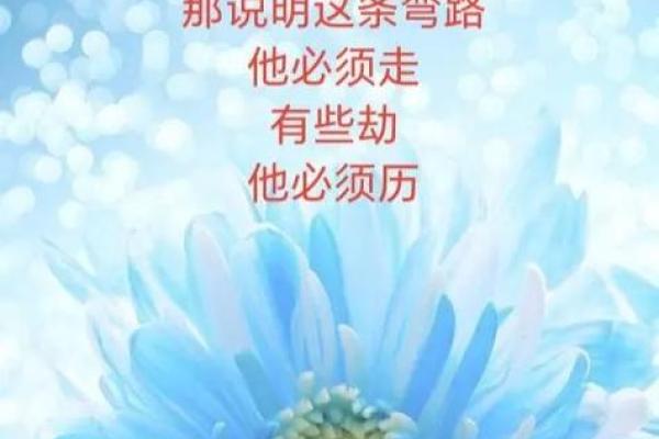 不是富命是贵命：探寻人生的真正价值和意义