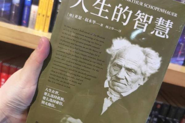根据什么运什么命,揭示人生的智慧与哲理 根据什么运什么命,揭示人生的智慧与哲理