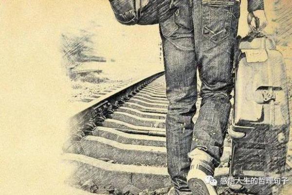 属牛人的命运解析：坚韧与坚持的人生旅程